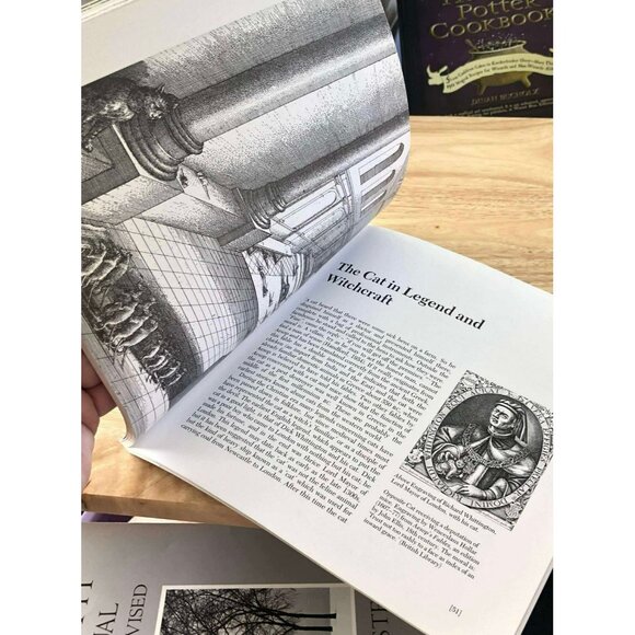 The British Museum Book of Cats: Ancient and Modern by Juliet Clutton-Brock - Picture 3 of 4